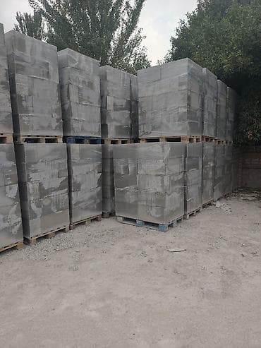 новый палас: Газоблок, Неавтоклавный, 600x300x200, D700 — 4