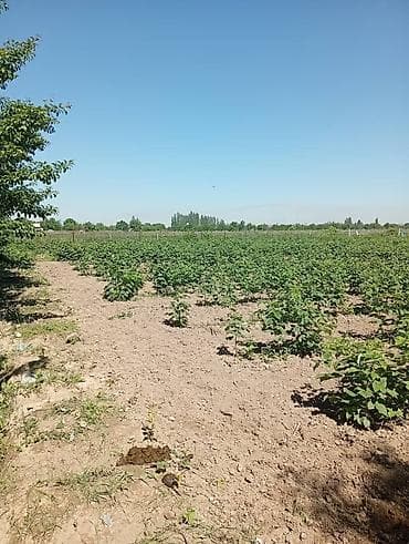 земля: Продаю дом совхоз ада тоо, участок 11соток, дом 4 к, кух, баня, гараж — 10