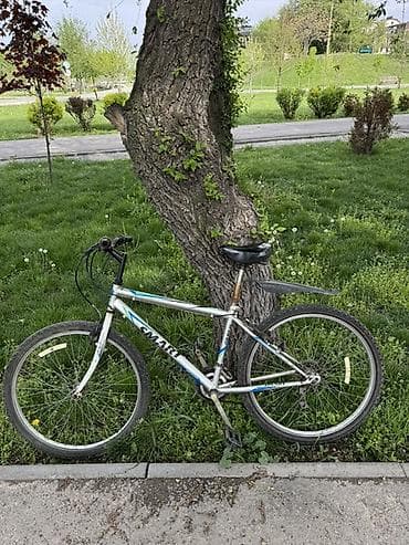 single speed: Горный велосипед, Рама M (156 - 178 см), Алюминий — 1