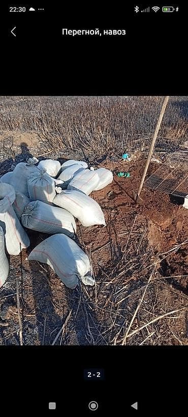 жидкий навоз: В мешках, Бесплатная доставка, Портер — 1