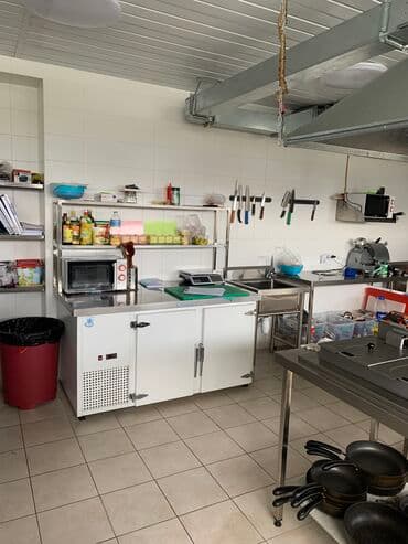 шоковая заморозка оборудование: Холодильники для кафе (промышленные) — 18