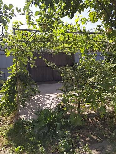 ковры бишкек цена: Продаю в курортной зоне дачу на Иссык Ате. Дача " Строитель" — 3