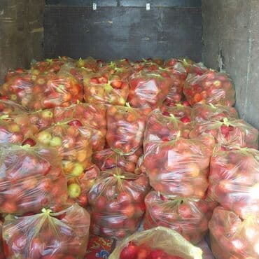 кухонный оборудование: Алмалар Дүңүнөн — 3