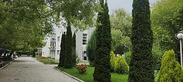 23: Коттедж, Витязь (Мурас), Чок-Тал — 8