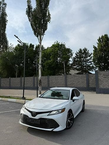 решетка на тойота ипсум: Toyota Camry: 2020 г., 2.5 л, Автомат, Бензин, Седан — 9