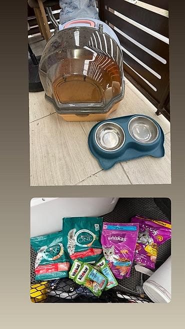 товары для кошек: Набор для кошки/кота: - Закрытый туалет-домик с крышкой и прозрачной — 1