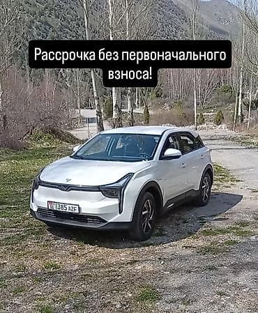 только продажа: BAW : 2022 г., 0.1 л, Вариатор, Электромобиль, Кроссовер — 1