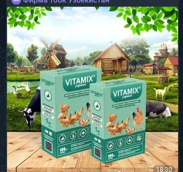 приют для бездомных животных бишкек: Витами для животных — 2