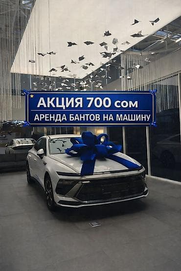 🚘АКЦИЯ — всего 700 сом/сутки! Предлагаем аренду стильных бантов на
