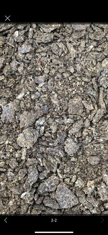 товары для животных: Сафлор-Жмых.
 Сафлор- Кунжара — 3