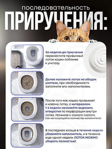 мал сатып алам: Товары для ВАШИХ ЛЮБИМЫХ КОШЕК! Туалет для кошек приучает ходить к — 3