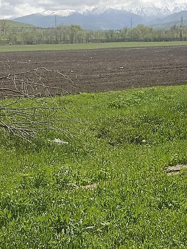 дешёвый участок: 100 соток, Для сельского хозяйства — 1