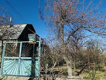 горнолыжные базы: Продаётся дача в городе Балыкчи, садовое общество «Абрикос» — 6