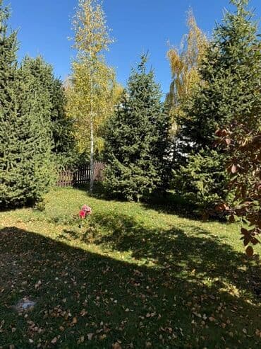 продаю дом садовое: Үй, 180 кв. м, 4 бөлмө, Менчик ээси, Евро оңдоо — 5