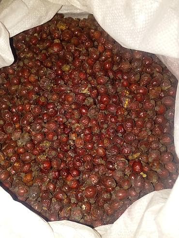 где купить листья малины: Сухой шиповник, цельные ягоды в мешках - Натуральные плоды шиповника — 2