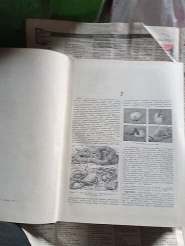 часы fossil: Энциклопедия — 3