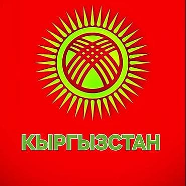 Микрофондор: Портативная акустическая система SRO JQ8S-15 - Тип: активная колонка — 1