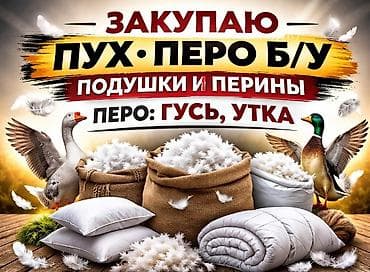 отун сатабыз: Закупаю пух и перо б/у. Принимаю подушки и перины. Интересует перо — 1