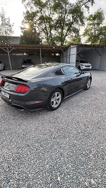 ford focus бампер: Ford Mustang: 2020 г., 2.3 л, Автомат, Бензин, Купе — 3