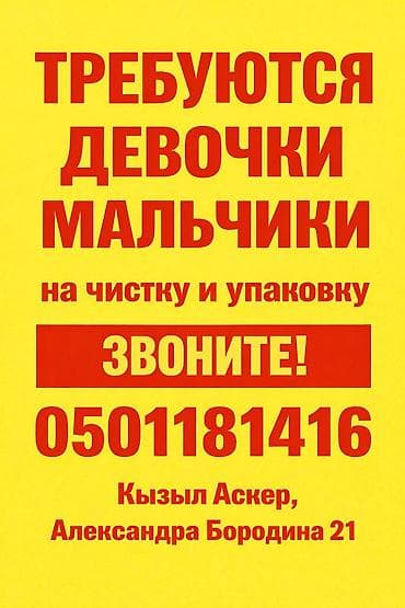 швеи кара балта: Швея, Постоянная, Прямострочка, Район: Кызыл Аскер, Юбки, Оплата: Еженедельно, Опыт работы: 1-2 года опыта — 1