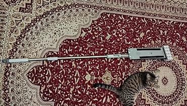 Хозтовары: Плоская швабра с самоотжимом и телескопической ручкой Описание: - — 1