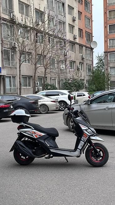 мопед альфа бишкек: На продаже новый самурай без никаких вложений только айдаш керек,150 — 2