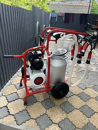 Доильный аппарат на тележке, двухпостовой Описание: - Передвижной — 1