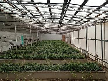 С оборудованием, Действующий, 240 м²