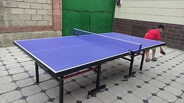 Настольный теннисный стол, складной, на колесах. - Полноразмерное