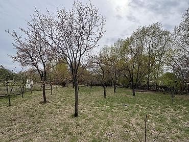 куплю баню: Продается Фазенда 52соток красная книга, ест все коммуникации свет 3х — 8