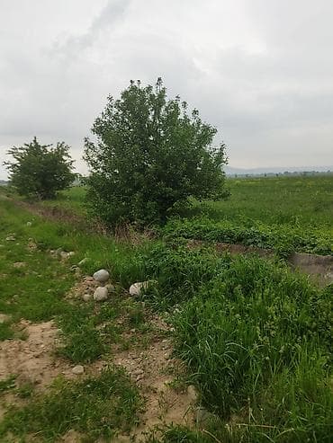 орашаемые земли: 106 соток, Для сельского хозяйства, Договор купли-продажи — 3