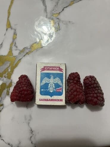 упаковшик керек: Малина Чекене — 2