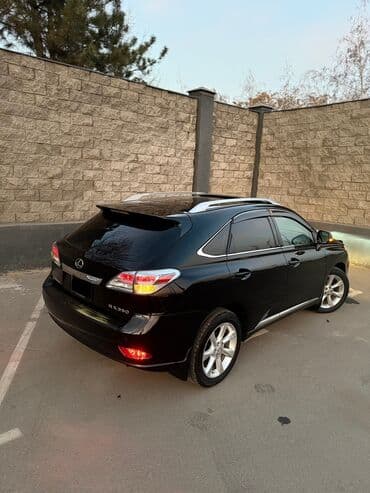 срочно продаю в связи с переездом: Lexus RX: 2009 г., 3.5 л, Типтроник, Бензин, Кроссовер — 25