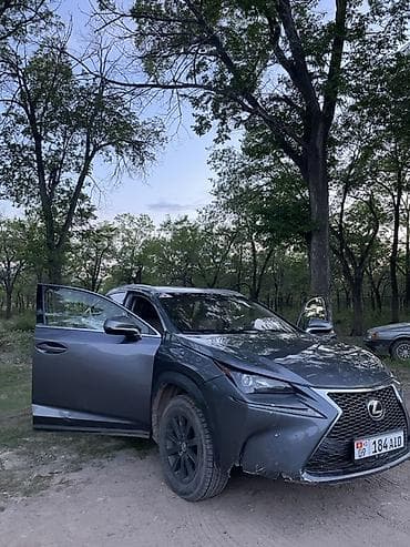 Lexus NX: 2016 г., 2 л, Автомат, Бензин, Кроссовер — 9