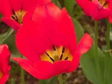 nikon d4: 2) Nikon Coolpix (серия компактных премиум, с «магниевым корпусом» и — 10