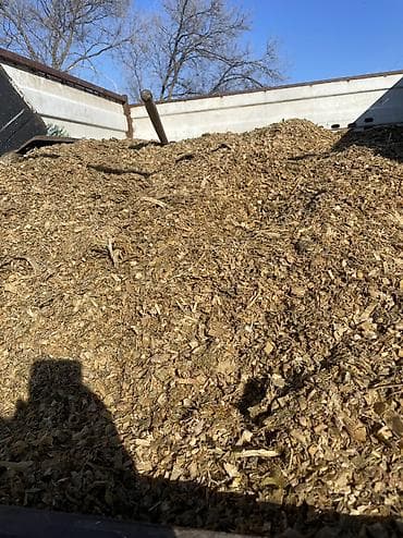 жалал абад ит: Продаются силос 7сом. с доставкой Силос сатылат 7 сом. жеткирүү жолу — 3