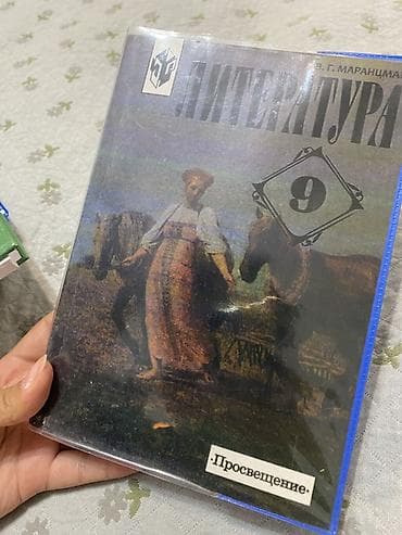 local guide program: Учебник: «Литература. 9 класс» — 1