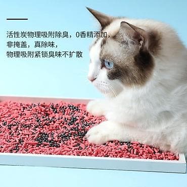 мал сатып алам: Комплект для кошки: лежанка-домик + когтеточка-игровая стойка + — 9