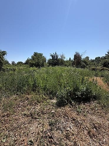 Дома: 📍В Сокулуке продается дом расположенный на участке 10 соток. 🏷️Об — 5