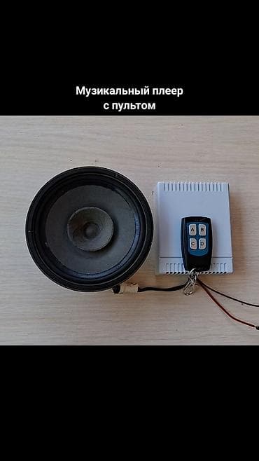 Аудиоплеер с пультом
