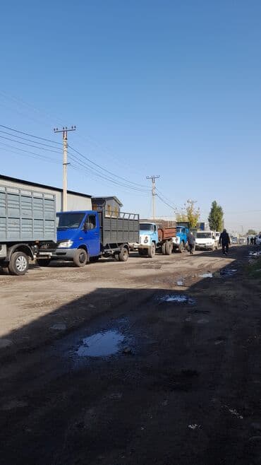 наполнитель для животных: Жом — 3