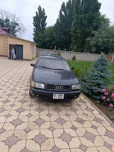 explorer kallio 50: Audi 100: 1992 г., Механика, Газ, Седан — 3