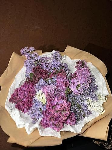 букет сирень: Букет из сирени дешево по 20 800 1000 БЫСТРО И ДЕШЕВО ПИШИТЕ ЗВОНИТЕ — 6