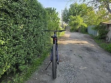 Горные велосипеды: Горный велосипед, Рама L (172 - 185 см), Алюминий, Б/у — 6