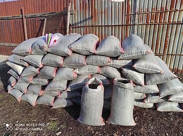 биогумус соолжан: Кара кык – огородуңуз үчүн эң мыкты табигый жер семирткич! 🌱 Бакчаңыз — 4