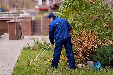спил дерево: Уборка территории, Уборка двора и сада — 1