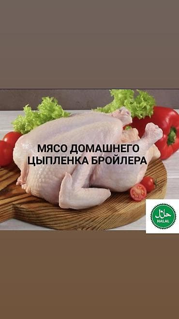 куриный угалок: 🐔 НАШИ БРОЙЛЕРЫ — ЭТО ЛЮБОВЬ В КАЖДОМ КУСОЧКЕ! 😋 Забудьте про сухую — 2