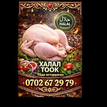 Дом и сад: Халал курица целая. - Сертификация: HALAL (соответствие халяльным — 1