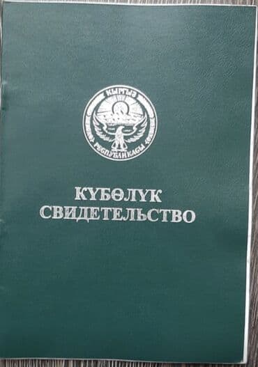 дом рабочый городок: 900 соток, Айыл чарба үчүн, Кызыл китеп — 10