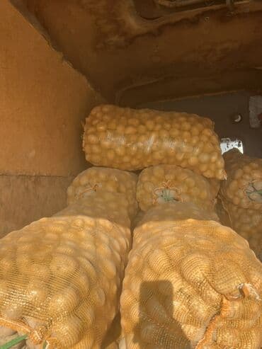 шкаф шифанер бу: Картошка Пикассо, Оптом — 1